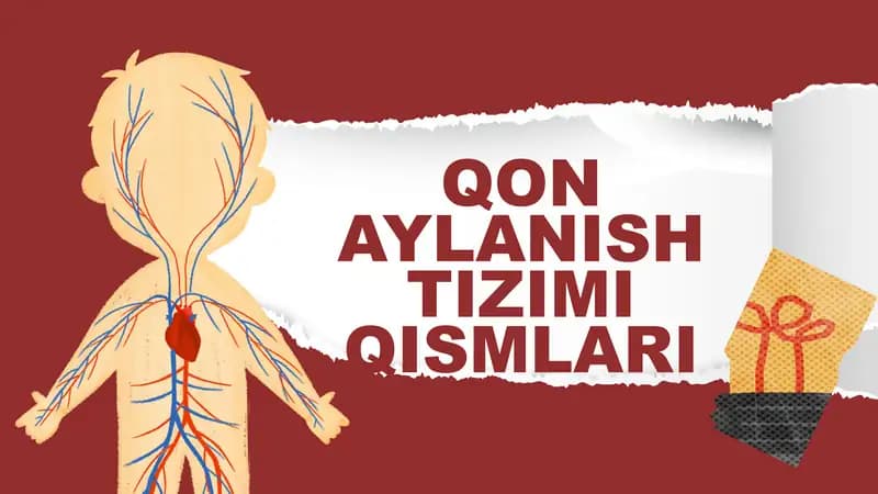 QON AYLANISH TIZIMI QISMLARI