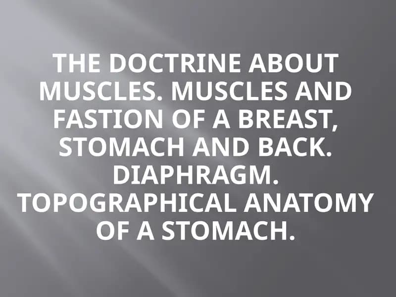 The doctrine about muscles. Muscles and fastion of a breast, stomach and back. Diaphragm. Topographical anatomy of a stomach.