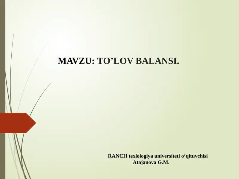 TO’LOV BALANSI