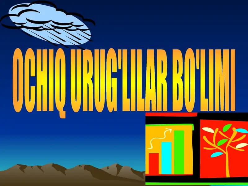 OCHIQ URUG'LILAR BO'LIMI