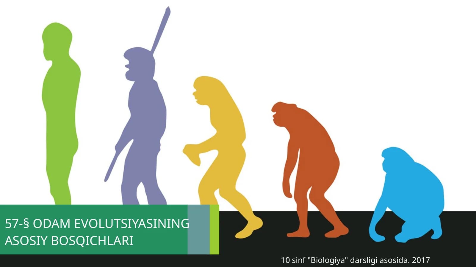 ODAM EVOLUTSIYASINING ASOSIY BOSQICHLARI