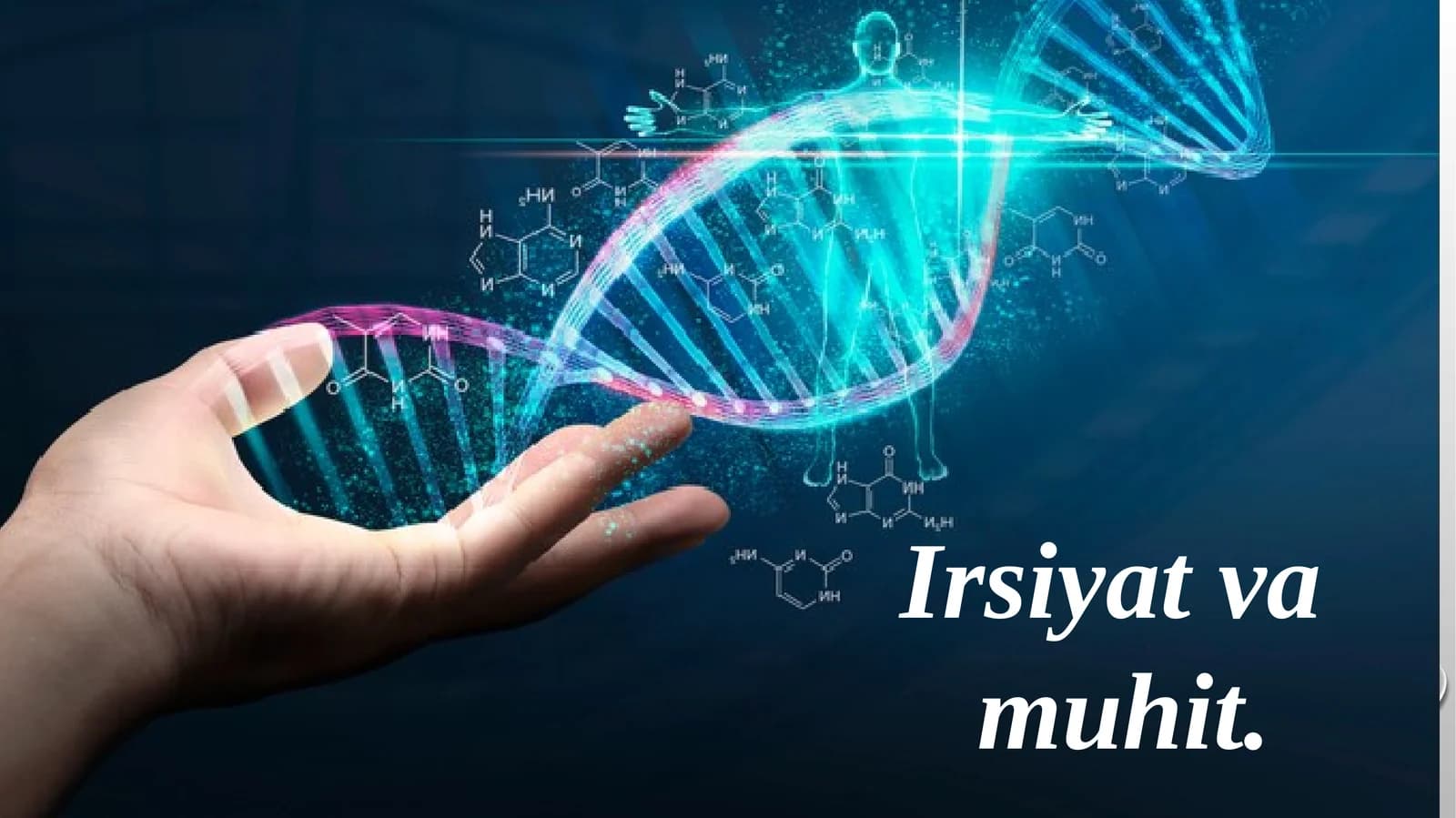 Irsiyatva muhit