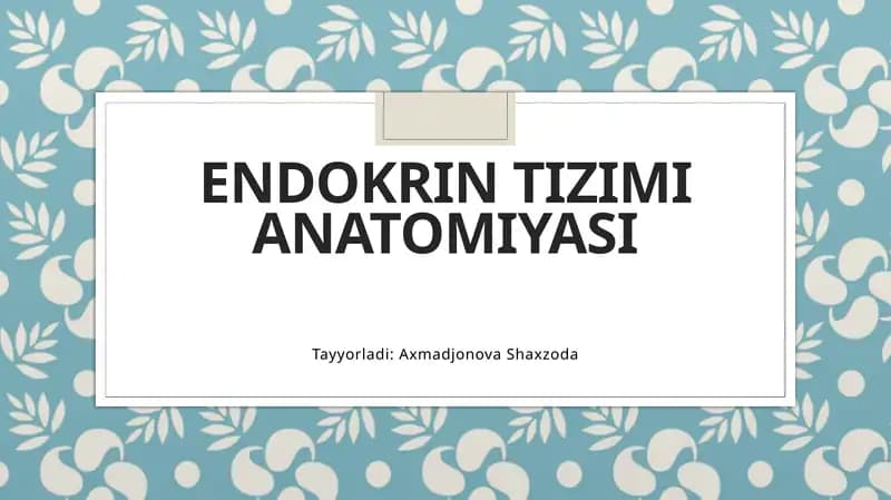 ENDOKRIN TIZIMI ANATOMIYASI