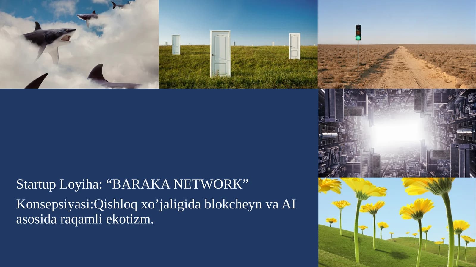 Startup Loyiha: “BARAKA NETWORK”