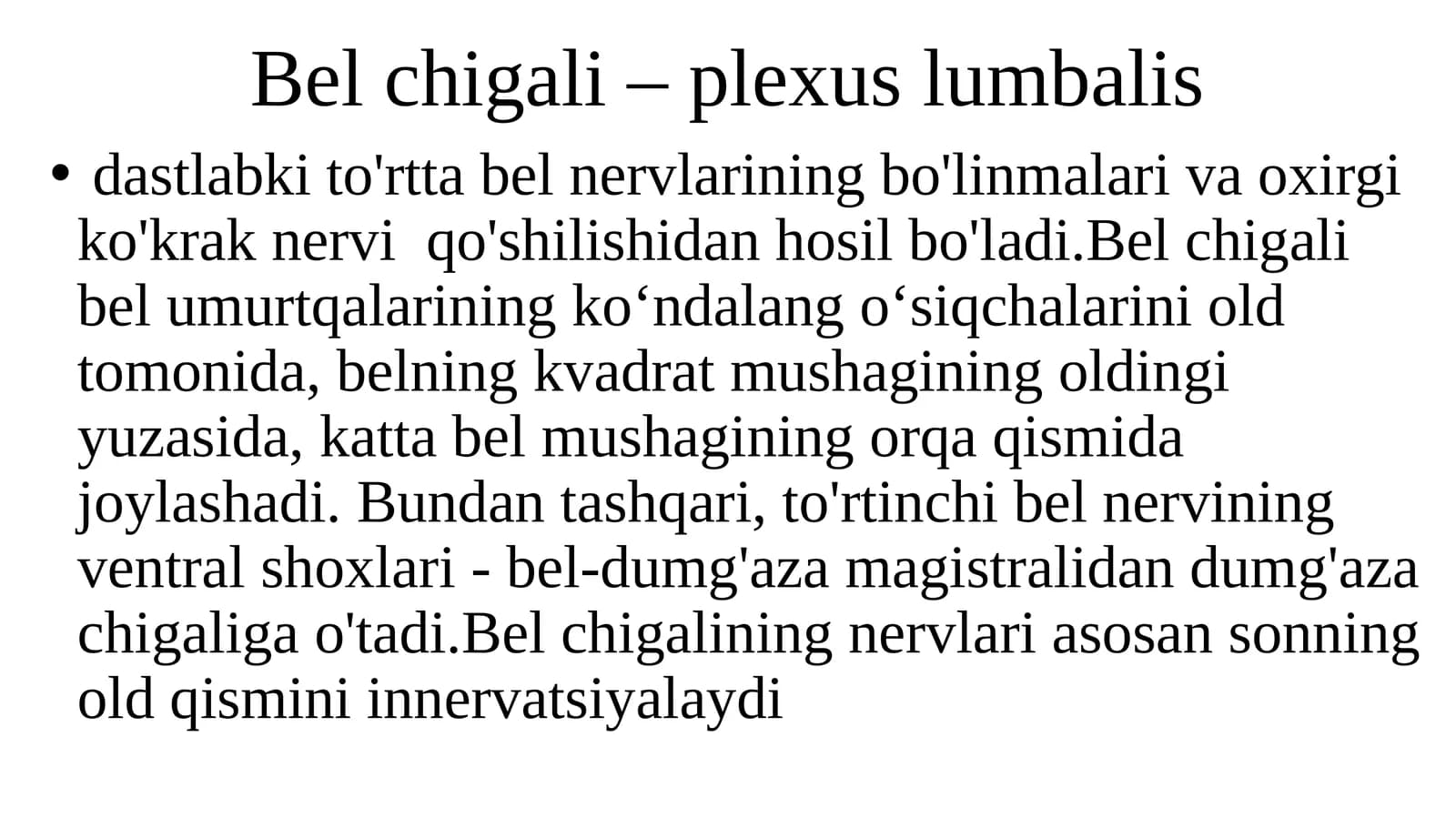 Belchigali-plexuslumbalis