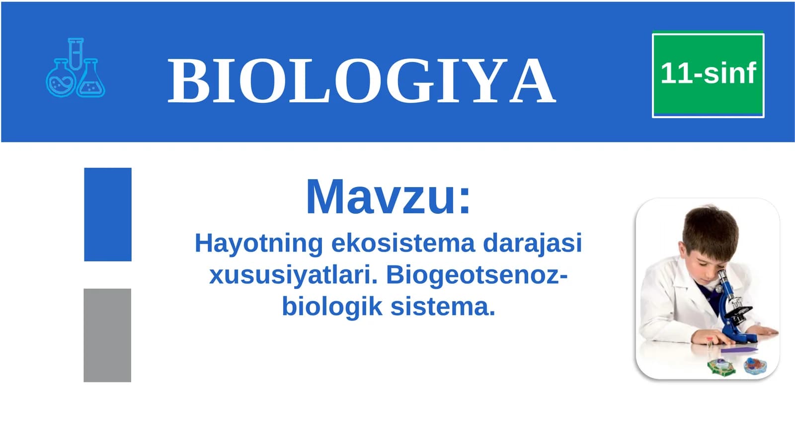 Biogeotsenoz-biologik sistema