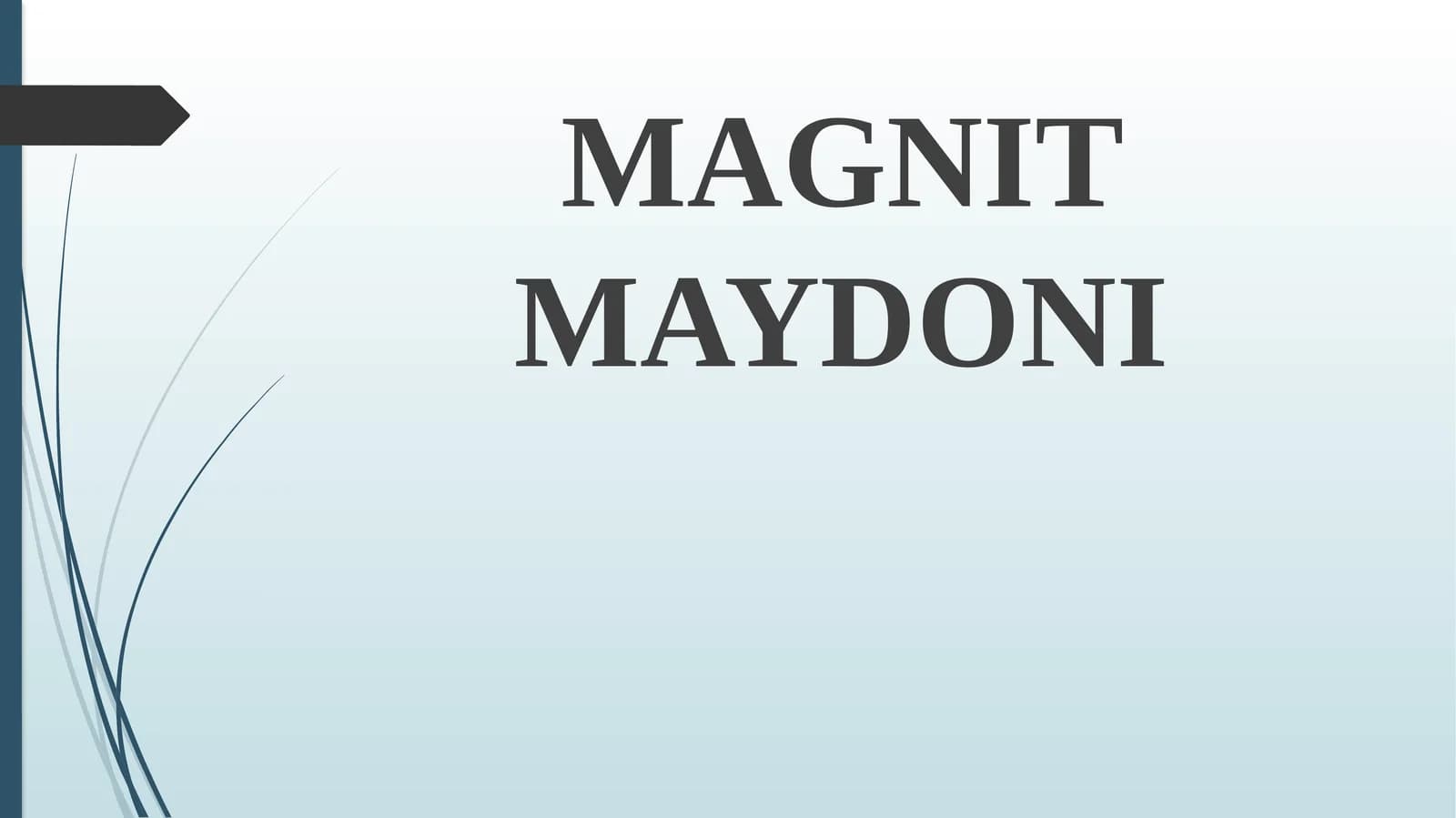 Magnit maydoni