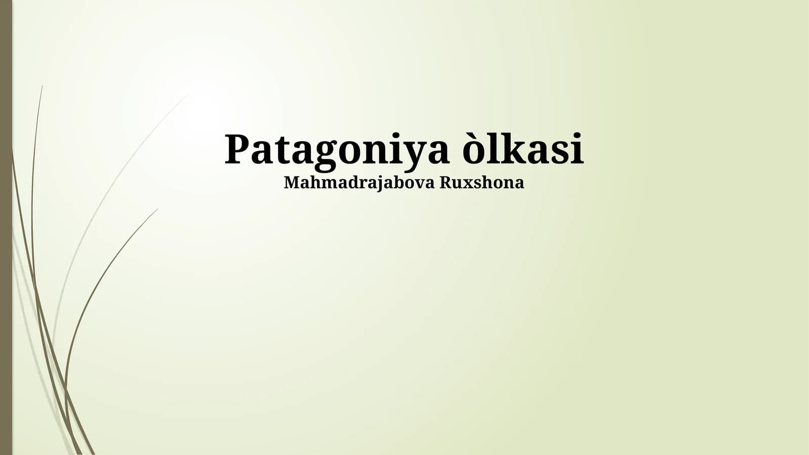 Patagoniya òlkasi