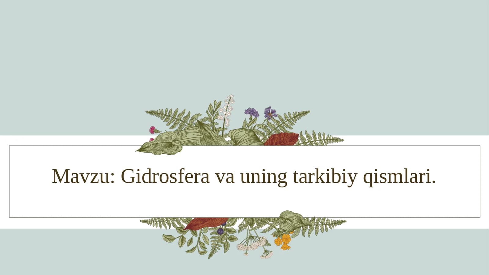 Gidrosfera va uning tarkibiy qismlari.