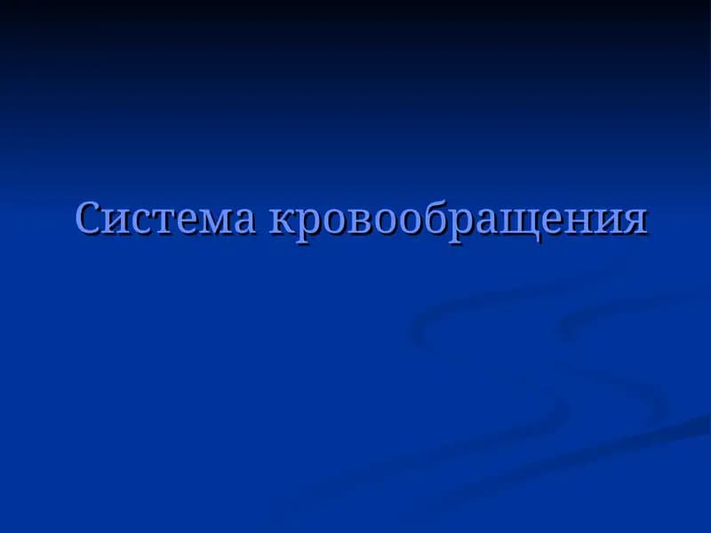Система кровообращения