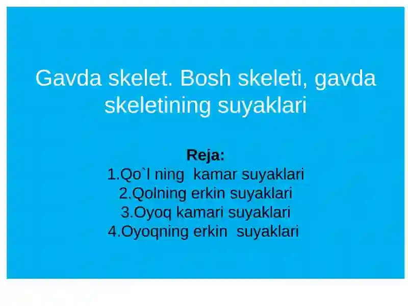 Gavda skelet. Bosh skeleti, gavda skeletining suyaklari