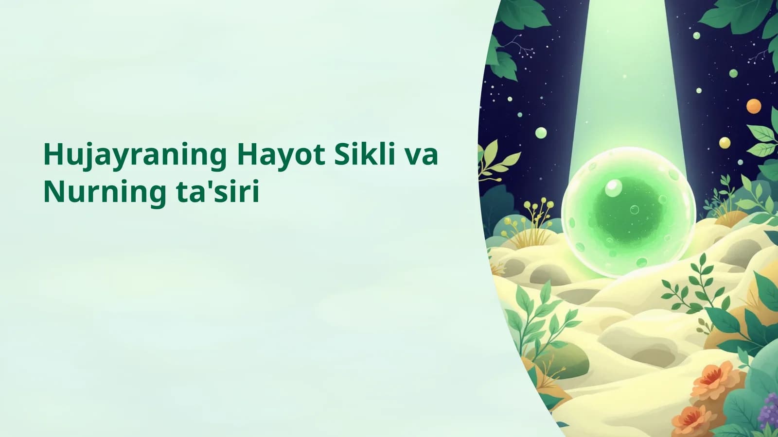 Hujayraning Hayot Sikli va Nurningta'siri