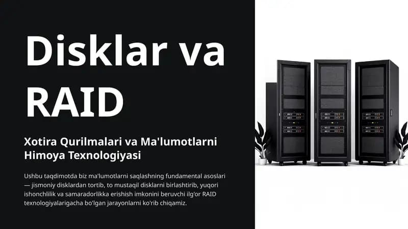 Disklar va RAID