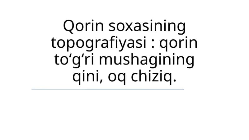 Qorin soxasining topografiyasi