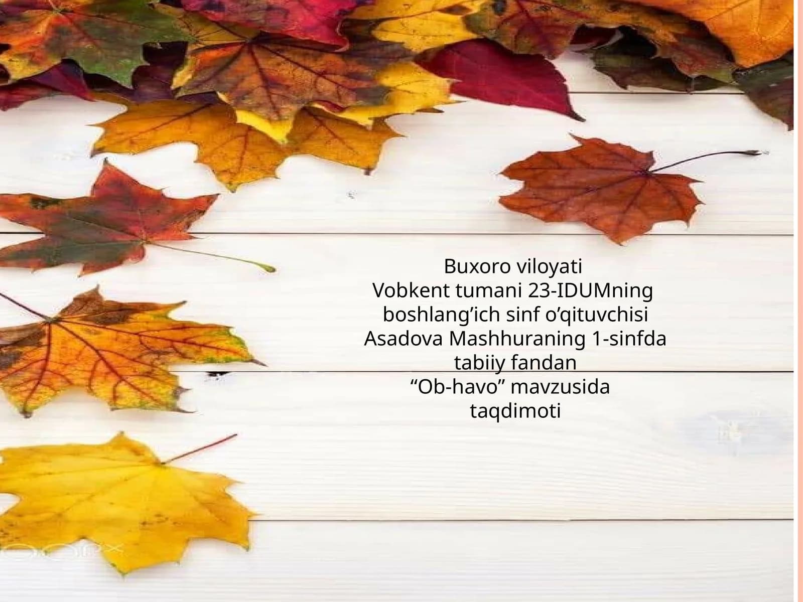 Ob-havo