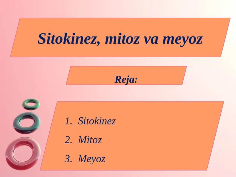 Sitokinez, mitoz va meyoz