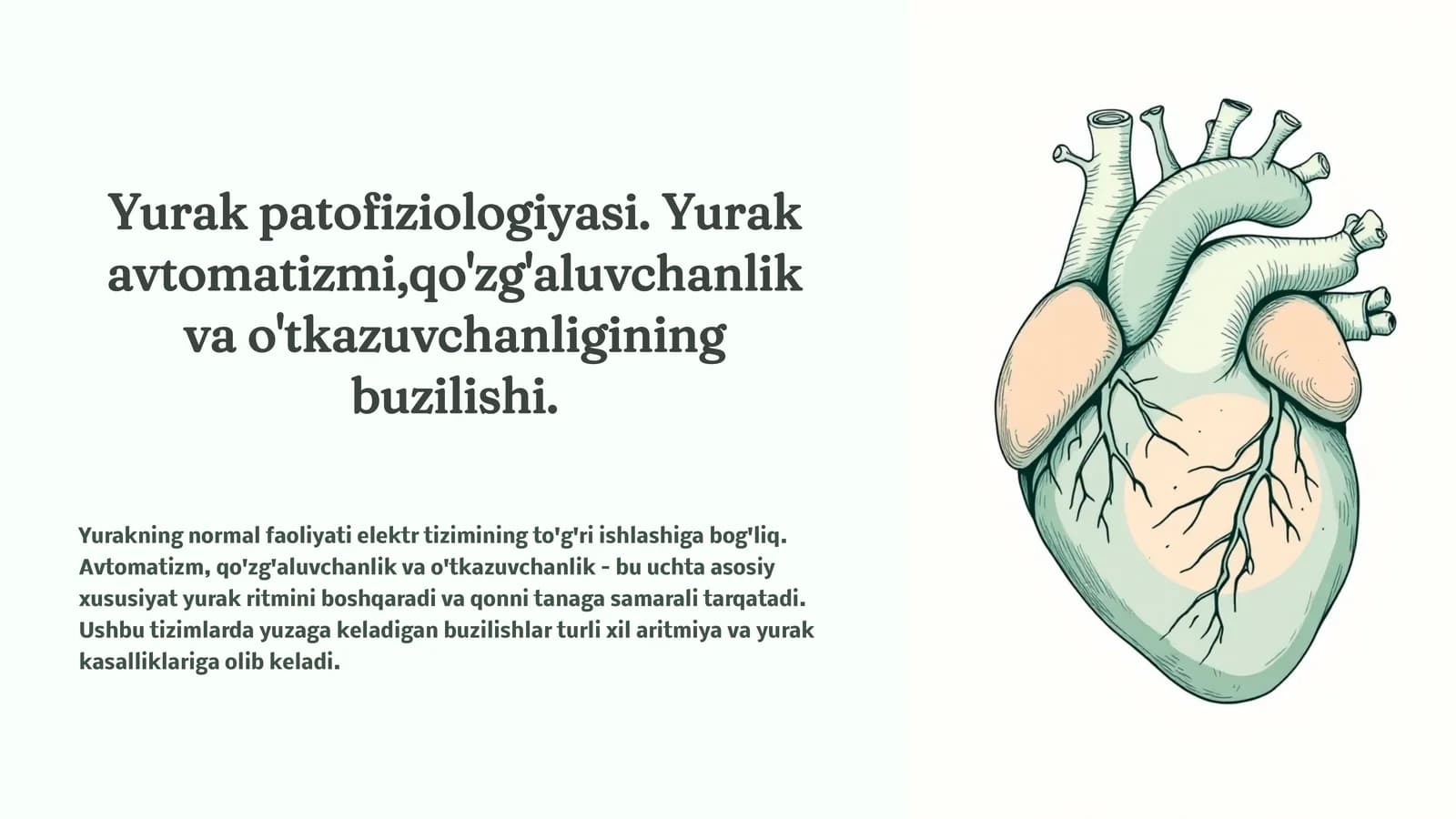 Yurak patofiziologiyasi. Yurak avtomatizmi,qo'zg'aluvchanlik va o'tkazuvchanligining buzilishi.