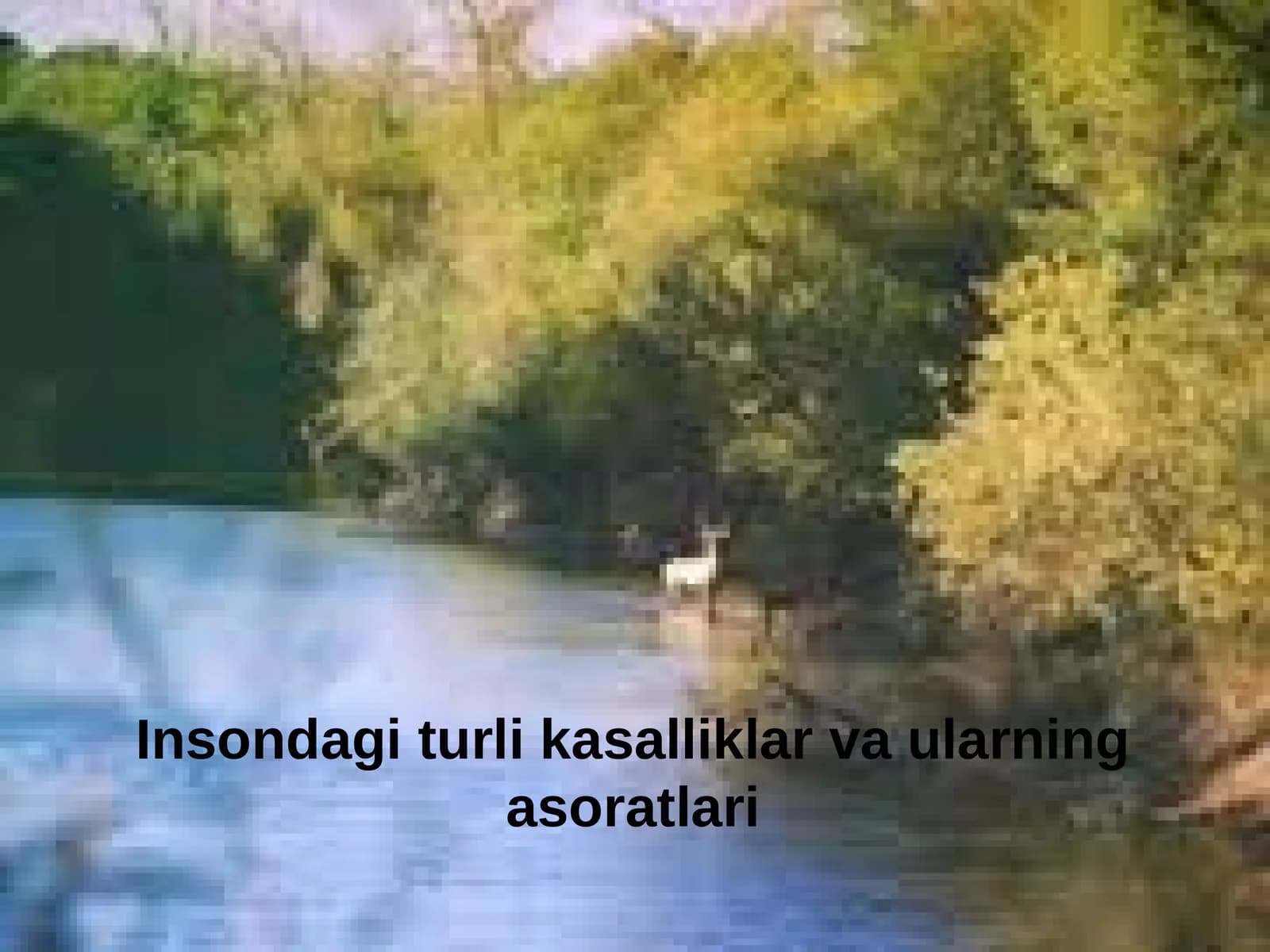 Insondagi turli kasalliklar va ularning asoratlari