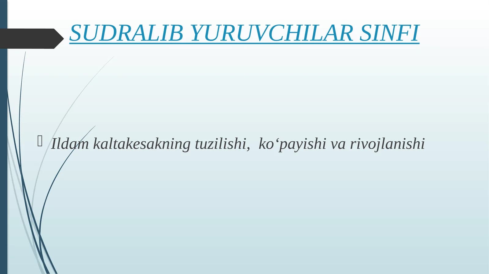 SUDRALIB YURUVCHILAR SINFI