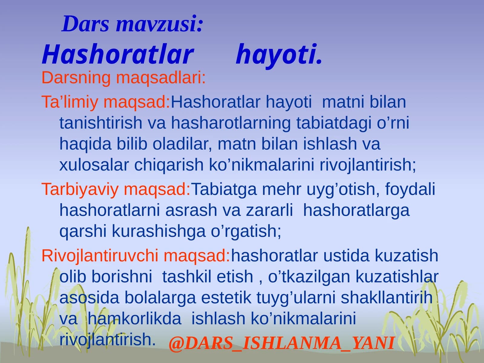 Hashoratlar  hayoti