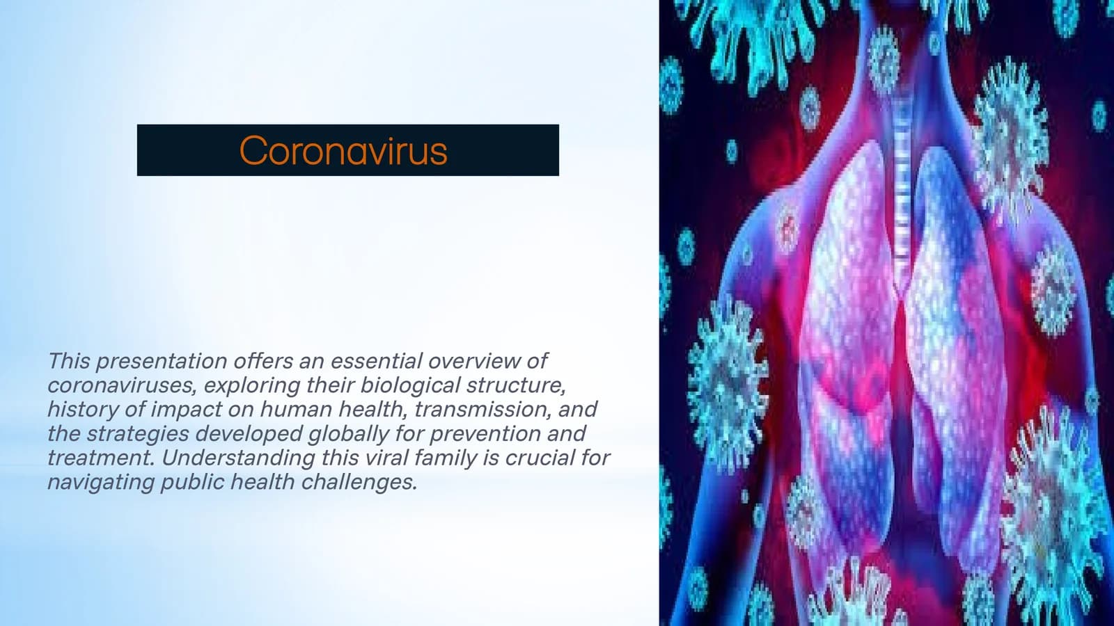 Coronavirus English translated