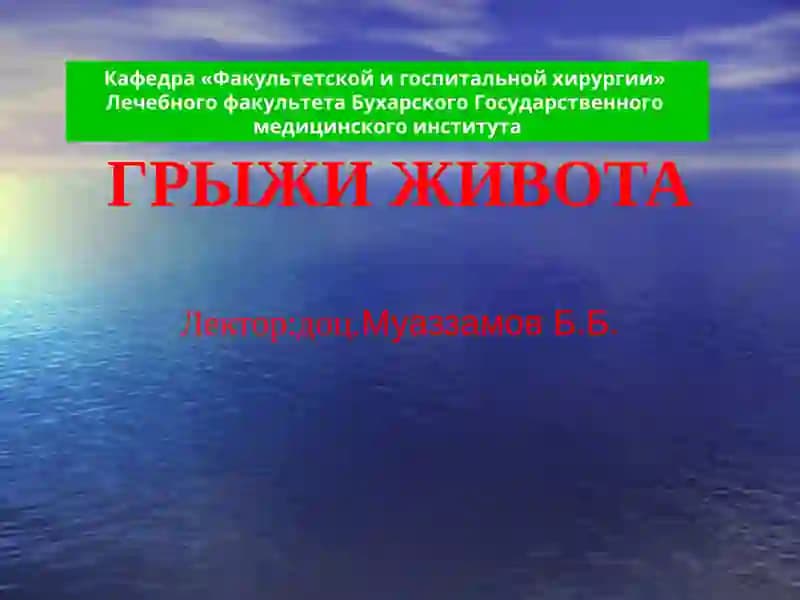 ГРЫЖИ ЖИВОТА