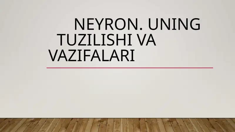 Neyron. Uning tuzilishi va vazifalari