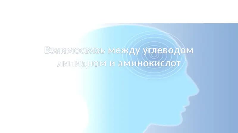 Взаимосвязь между углеводом липидном и аминокислот