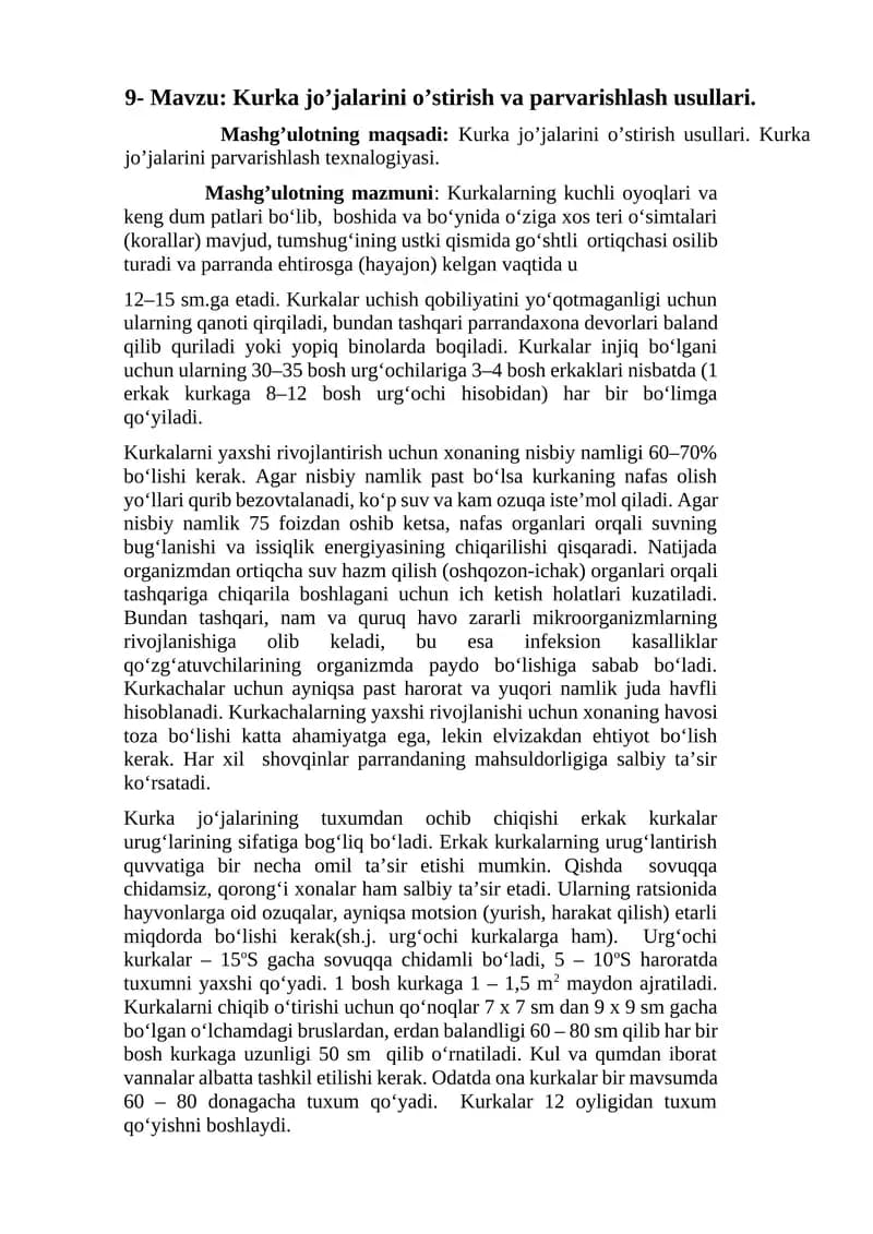 Kurka jo’jalarini o’stirish va parvarishlash usullari