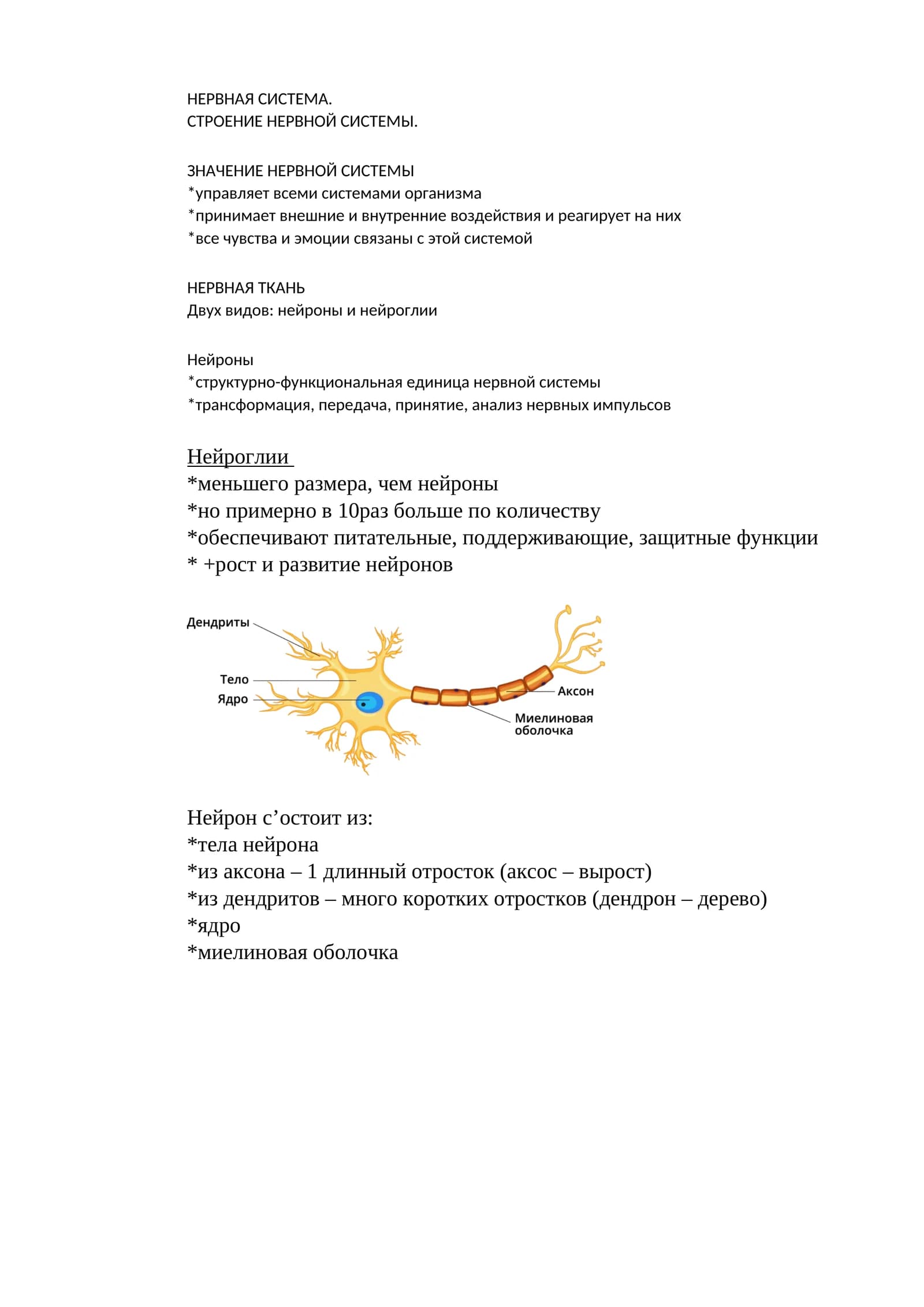 Нервная система