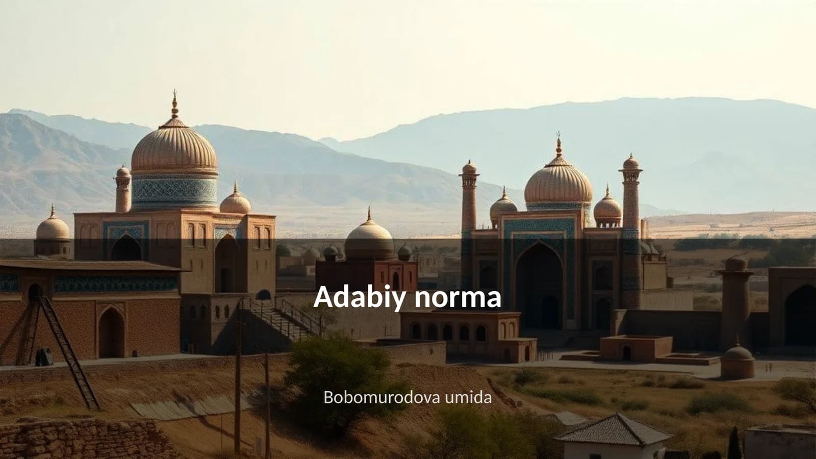 Adabiy norma