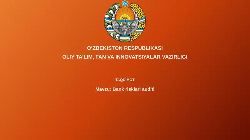 Bankrisklariauditi