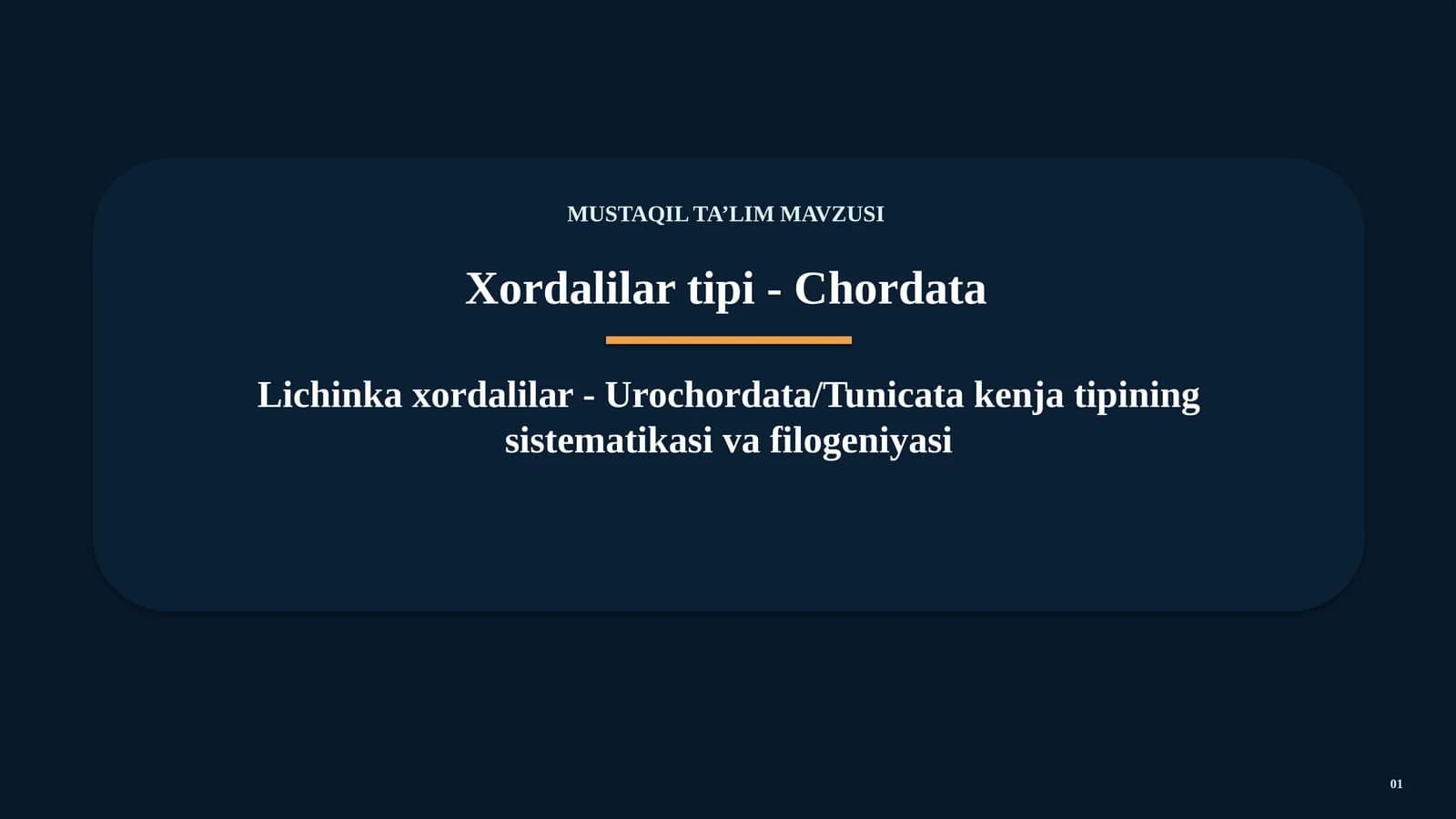 UROCHORDATA / TUNICATA