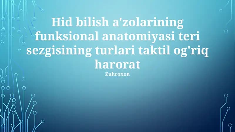 Teri funksiya anatomiyasi dermani