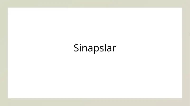 Sinapslar