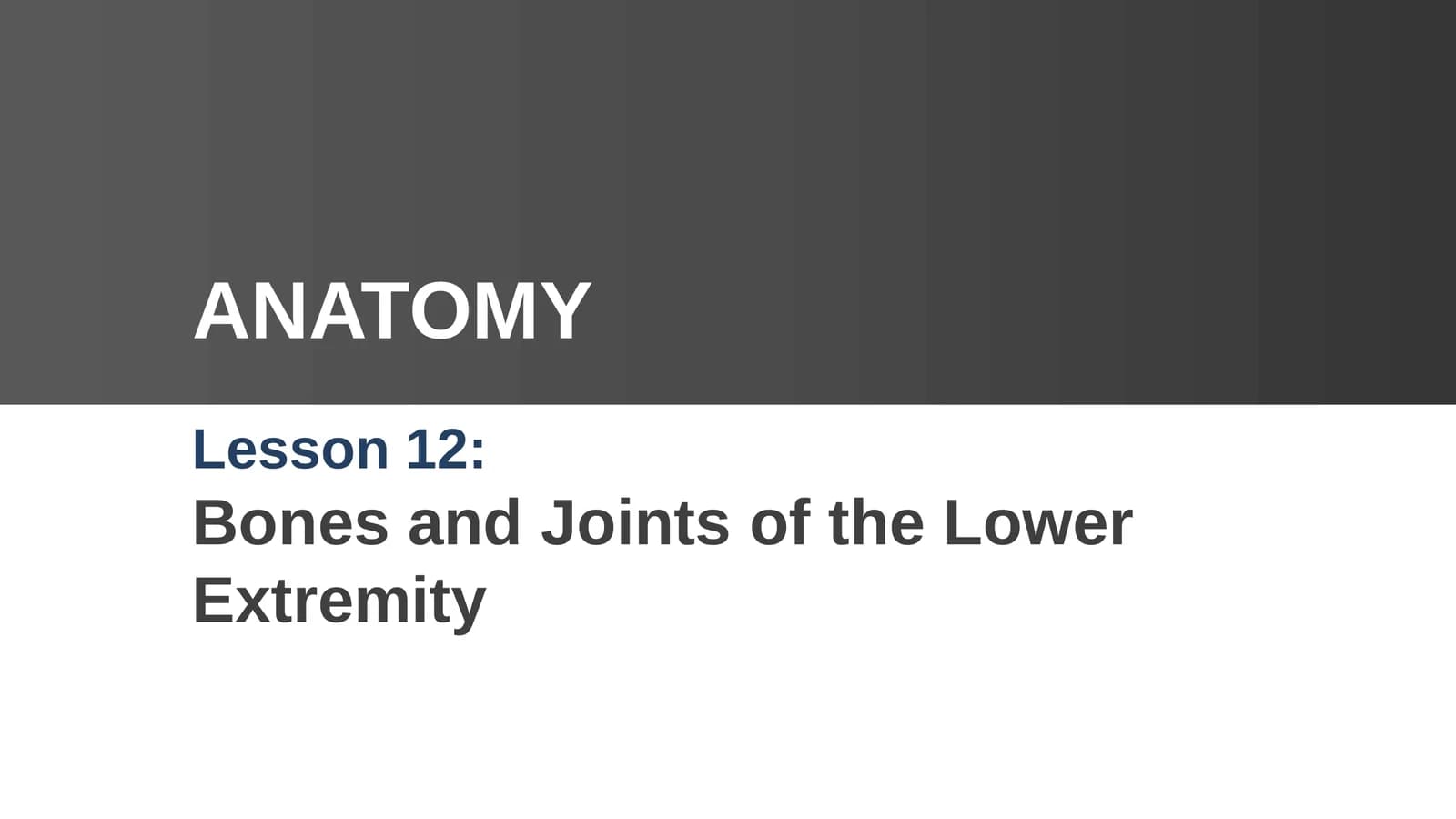 Bones and Joints of the Lower Extremity