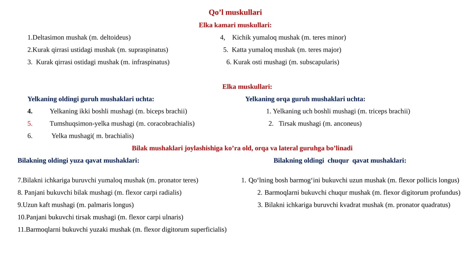 Qo’lmuskullari