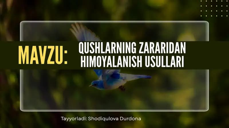 Qushlarning Zararidan Himoyalash Usullari