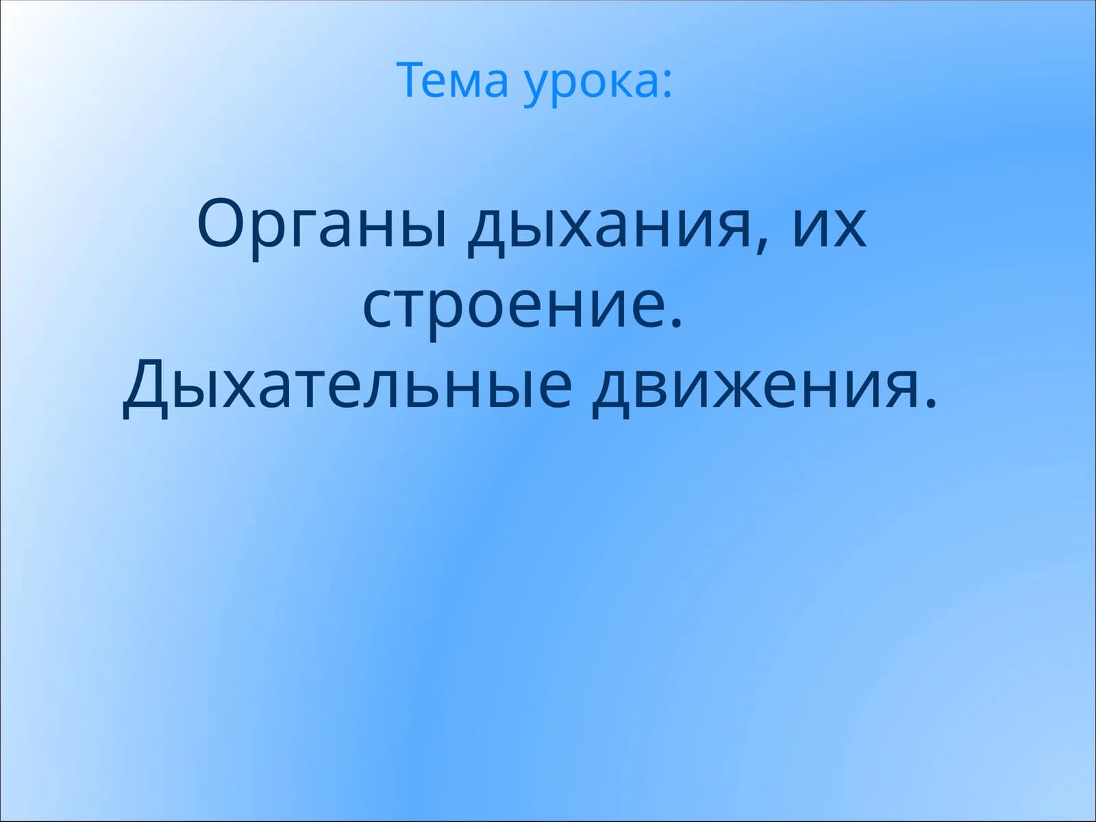Органы дыхания, их строение.Дыхательные движения