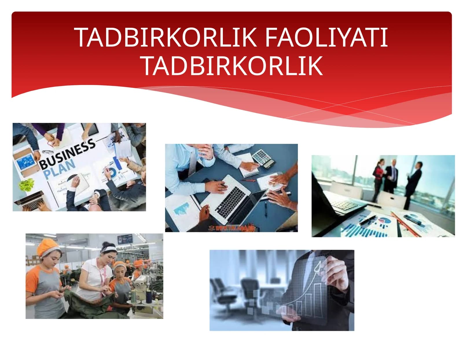 Tadbirkorlik faoliyati
