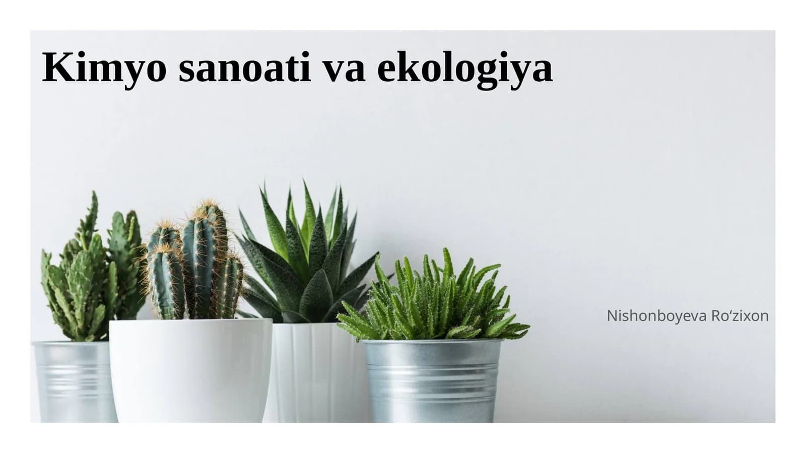 Kimyo sanoati va ekologiya