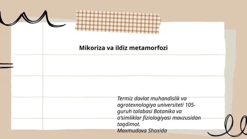 Mikoriza va ildiz metamorfozi