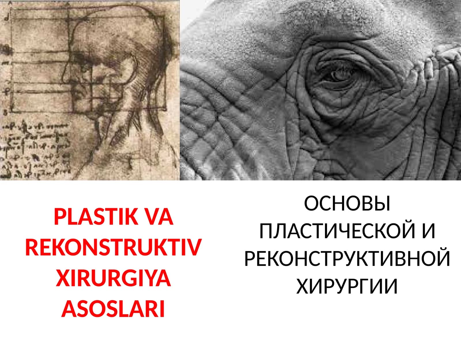 PLASTIK VA RЕKONSTRUKTIV XIRURGIYA ASOSLARI