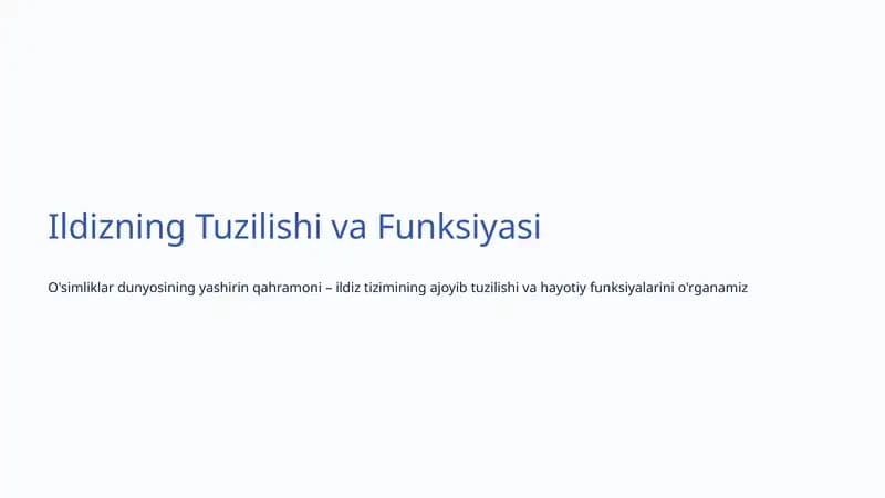 Ildizning Tuzilishi va Funksiyasi