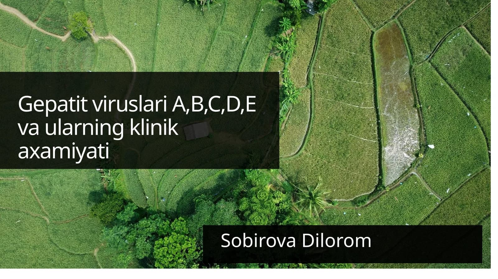 Gepatit Viruslari A, B, C, D, E Vaularning Klinik Axamiyati
