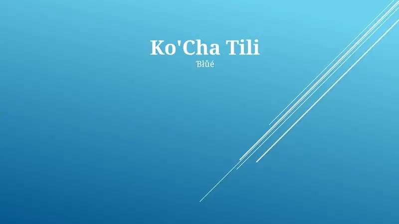 Ko'Cha Tili