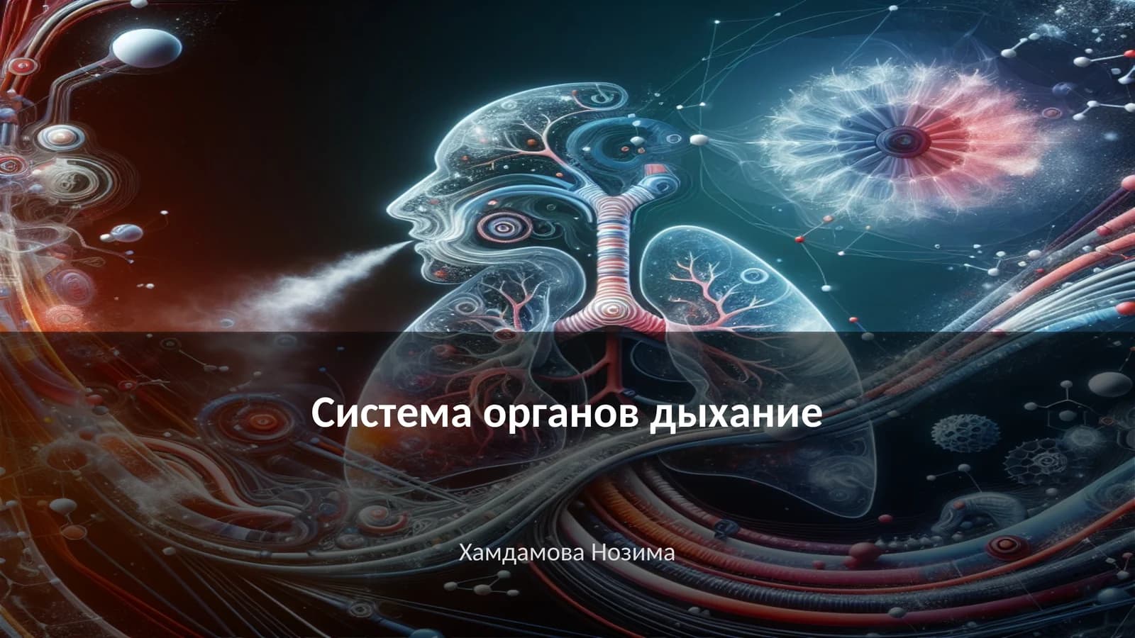 Система органов дыхание