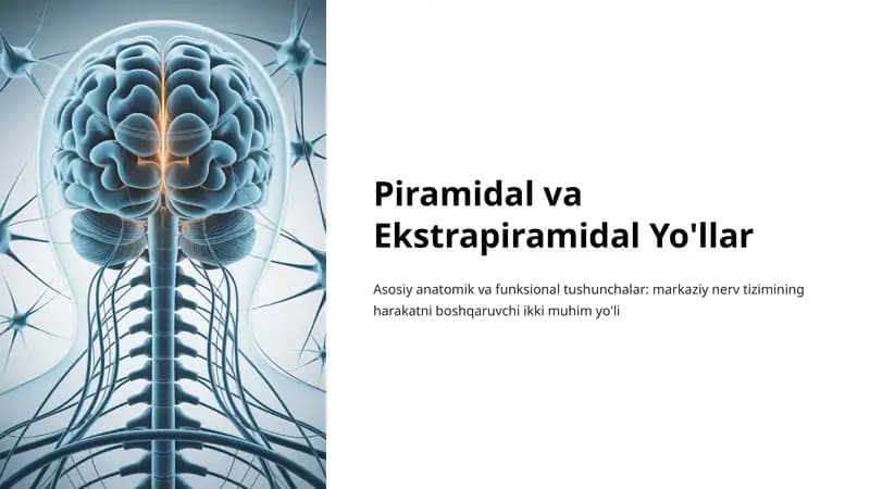 Piramidal va Ekstrapiramidal Yo'llar