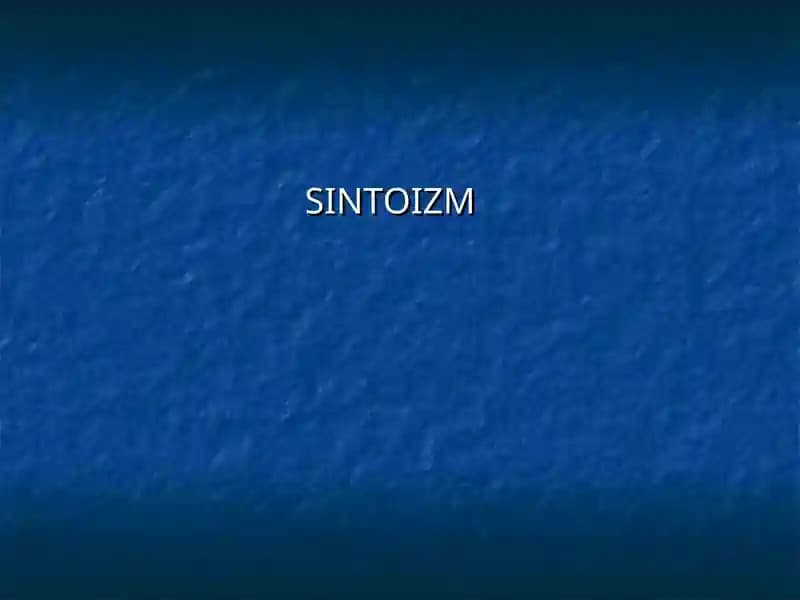 SINTOIZM