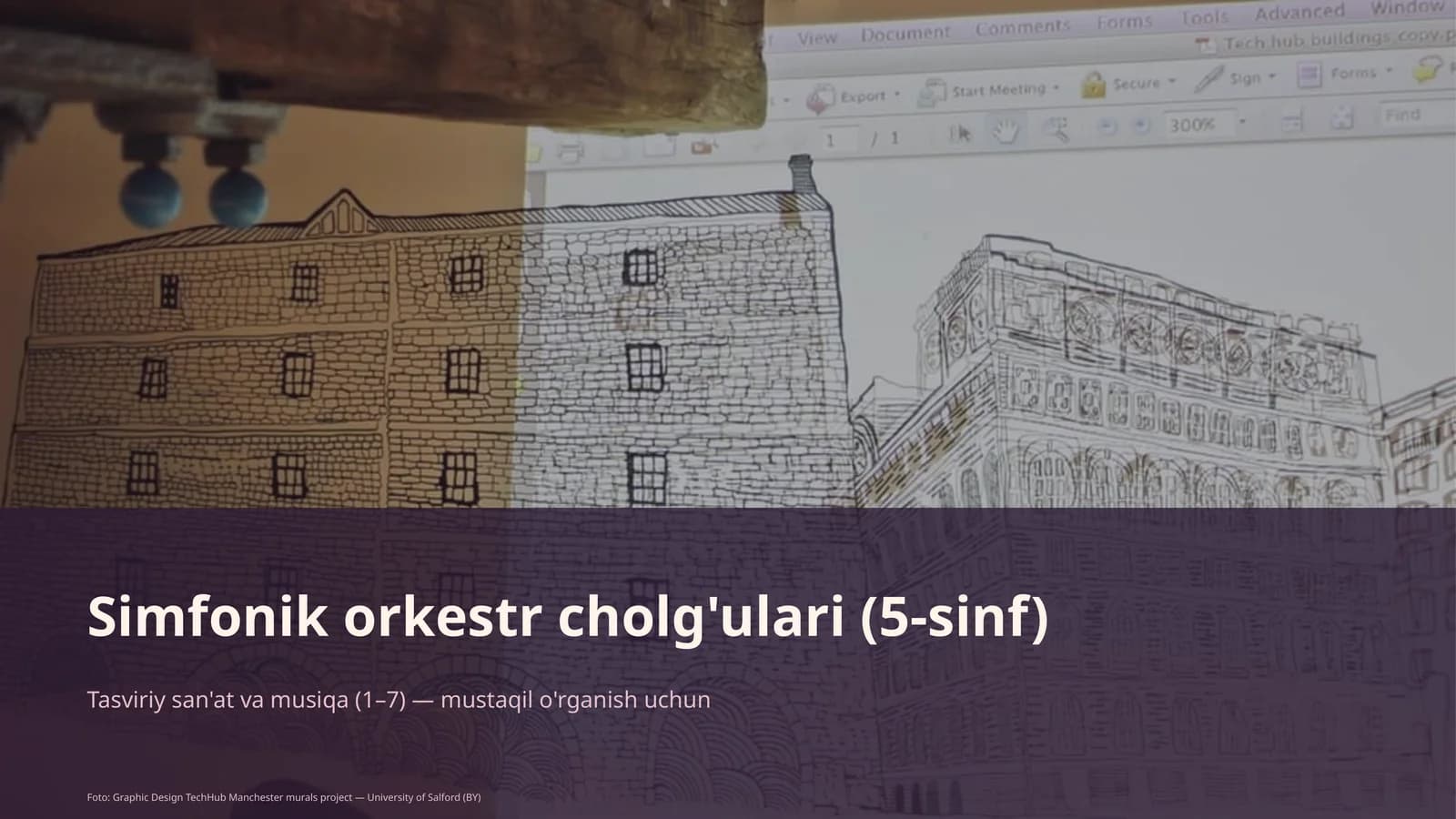 Simfonik orkestr cholg'ulari (5-sinf)